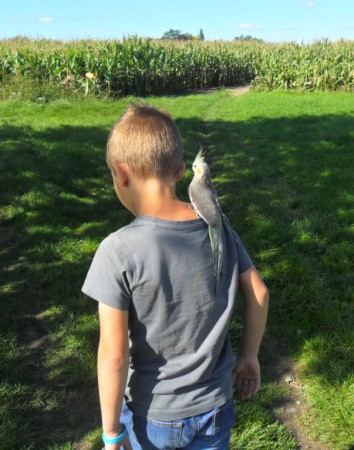 Wandeling door de velden